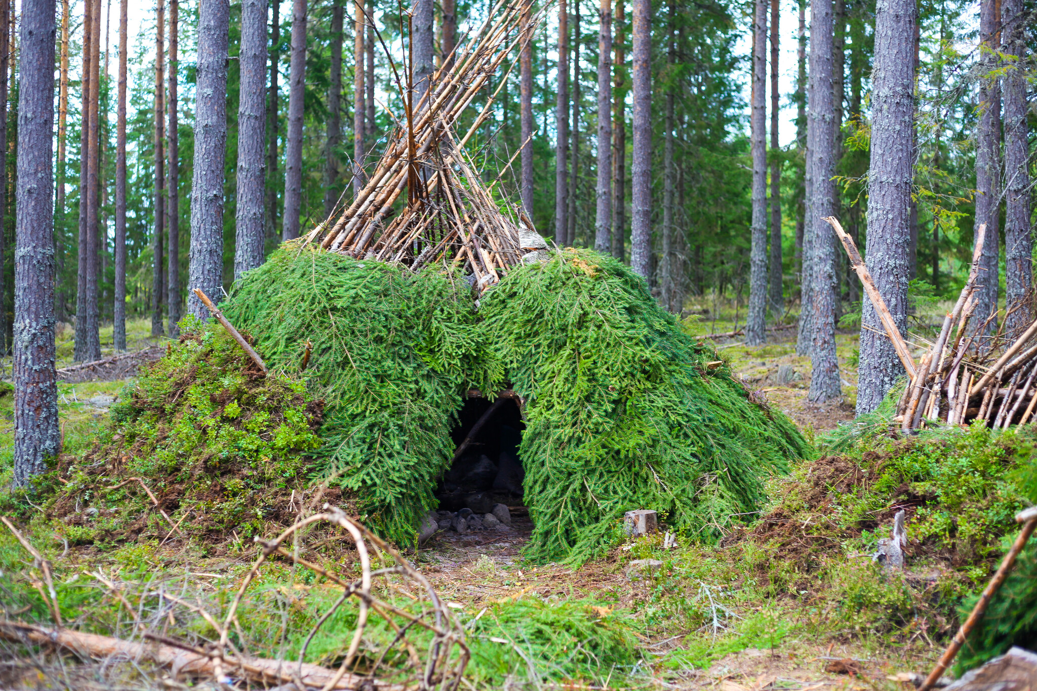 Advanced Bushcraft